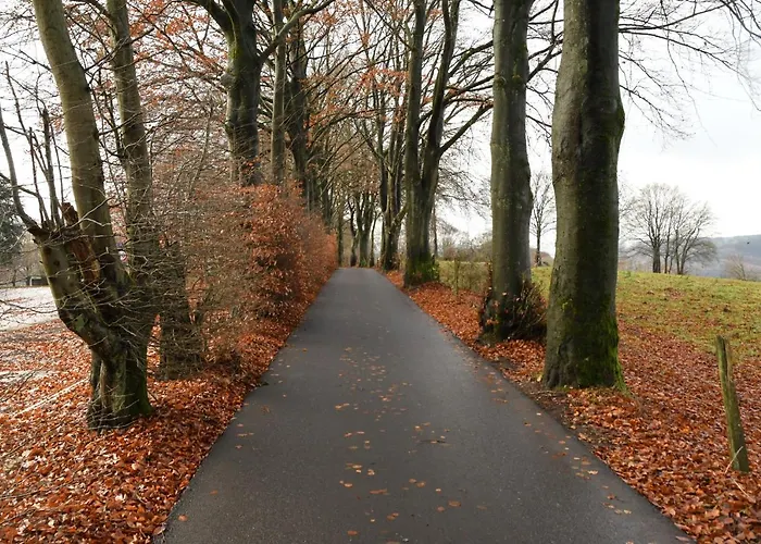 Casa Monica 木屋 马尔梅迪