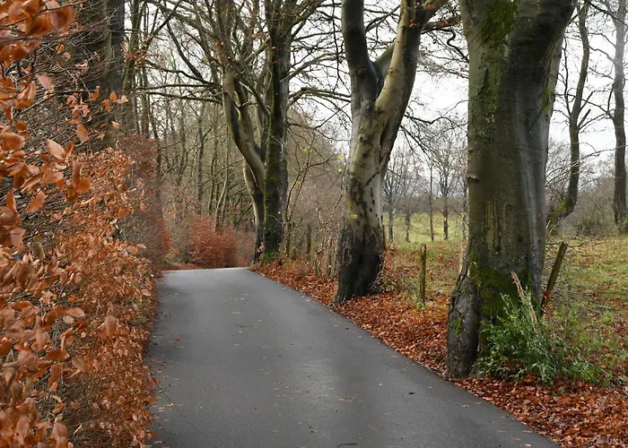 Casa Monica * 马尔梅迪