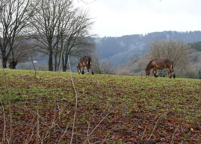 Casa Monica * 马尔梅迪