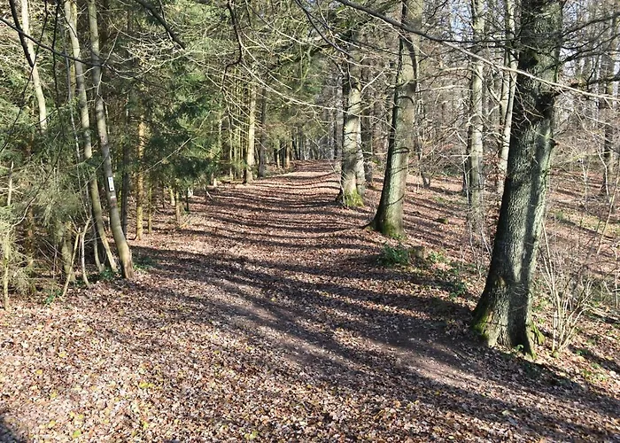 Casa Monica 马尔梅迪